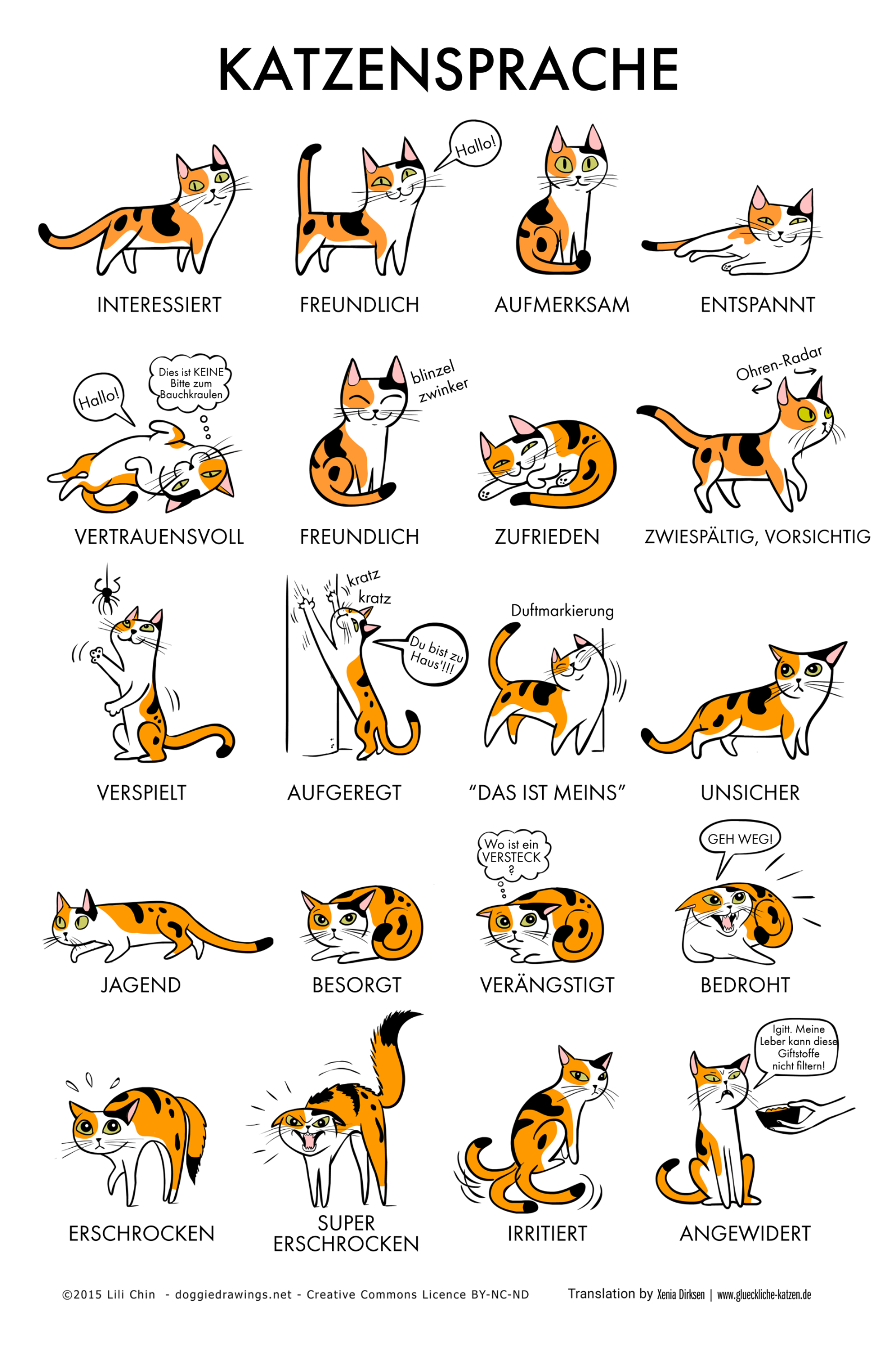 Kommunikation Katze
